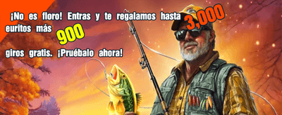Multiplica tus ganancias ahora